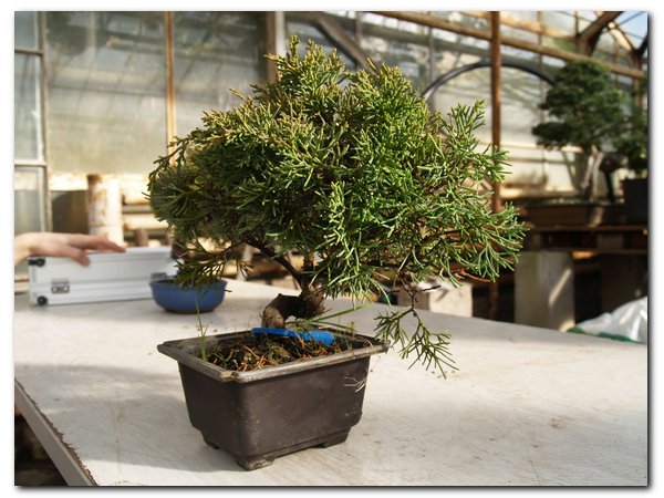 !!!do posortowania_002.jpg