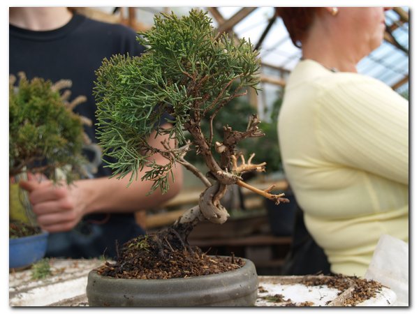 !!!do posortowania_003.jpg