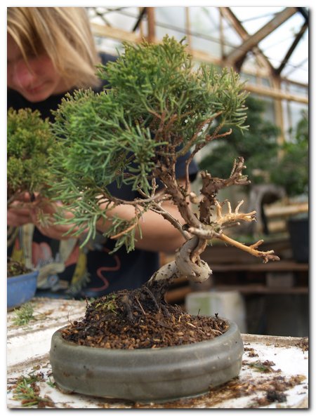 !!!do posortowania_004.jpg