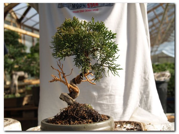 !!!do posortowania_005.jpg