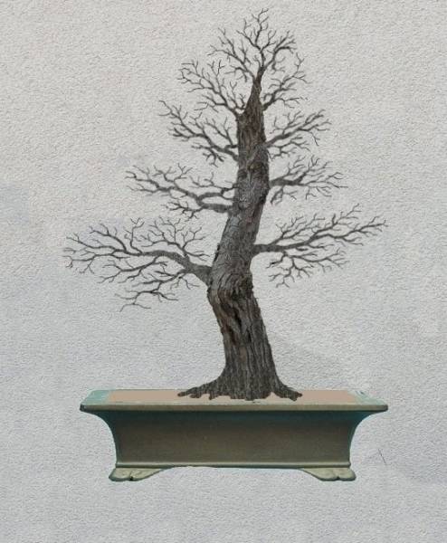 Mozliwa opcja - trochĂŞ wyidealizowana i uproszczona