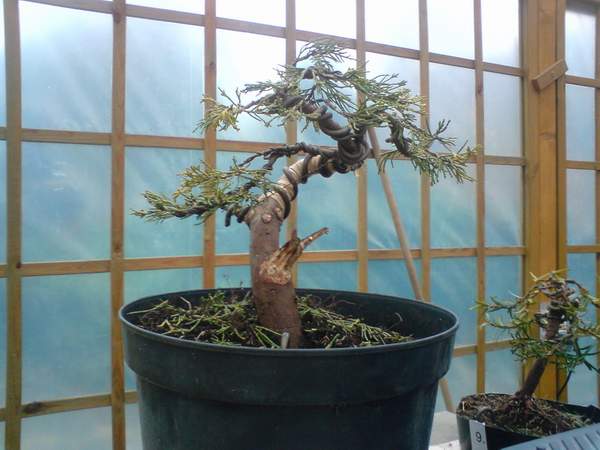 mniej wiĂŞcej koniec - choĂŚ nie do koĂąca :P