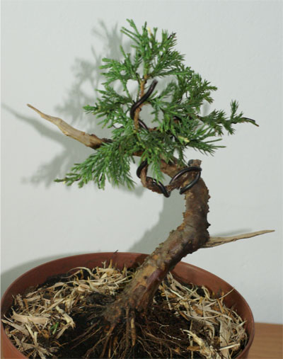 pod lekkim kontem z perspektywy patrzÂącego