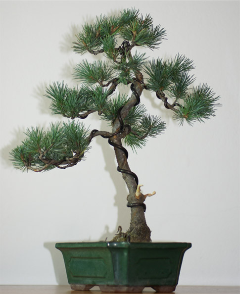 ÂŁadniejsza fota :P aktualnie