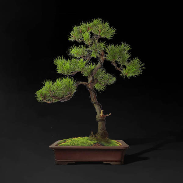 virt doniczka kopia.jpg