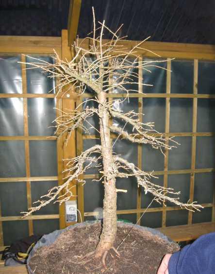 Fotka robiona przez Marcina Popka