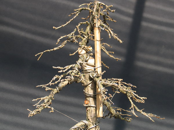 fotka robiona przez Romana Bone