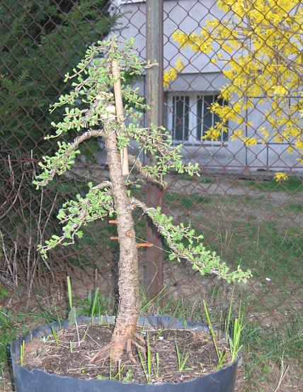 13 kwietnia 2007.jpg