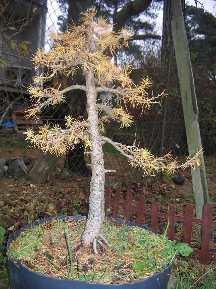 9 listopada 2007.jpg