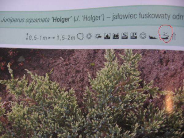 wymagania i zastosowanie