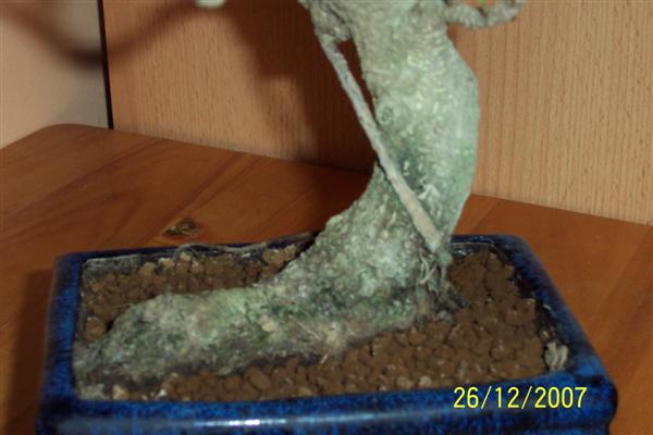 100_6136 (Custom).jpg