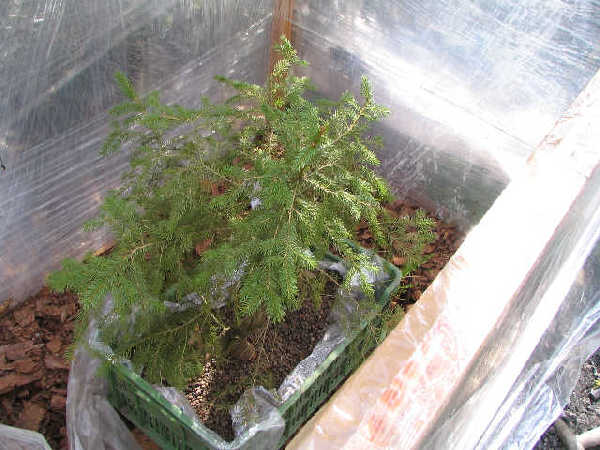 Tak to wyglÂąda w Âśrodku