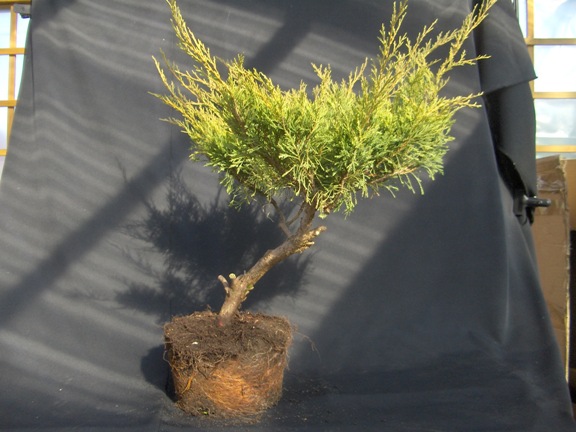 materiaÂł wyjÂściowy