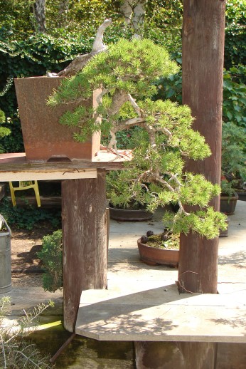 Vacek Novak 2007 008.jpg