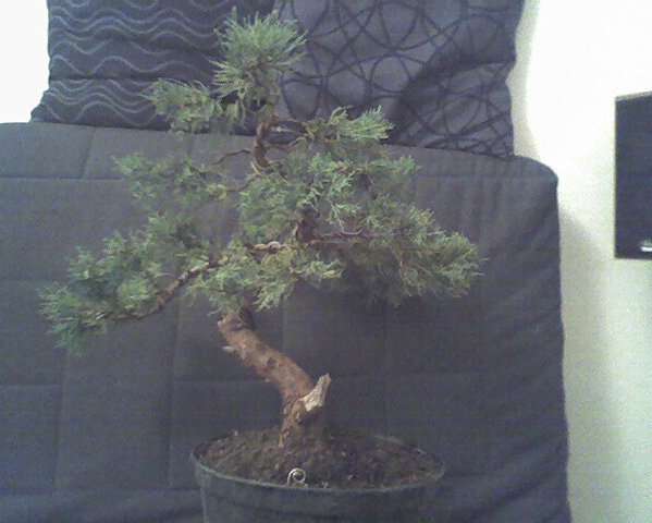 po pierwszym formowaniu