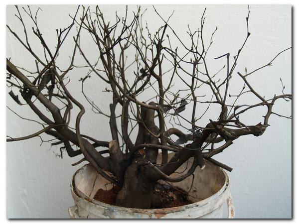 do sortowania_001.jpg