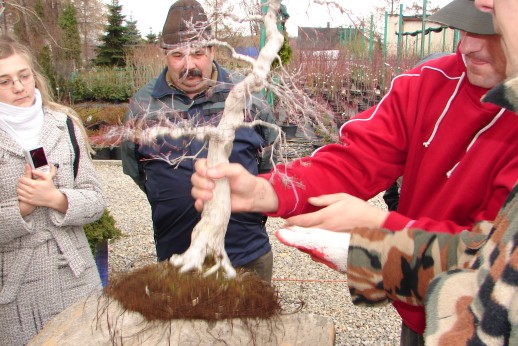 ibuki-marzec 2008 009.jpg