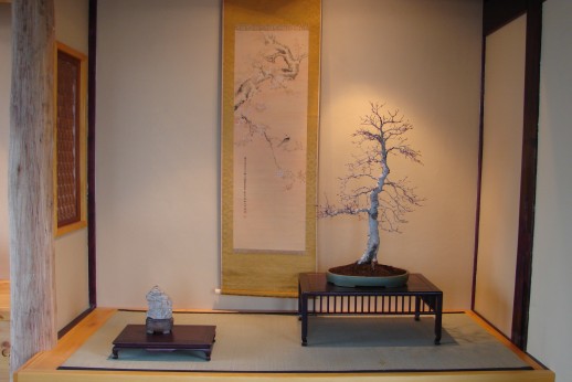 ibuki-marzec 2008 048.jpg