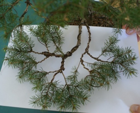 GaÂłÂąÂź gÂłĂłwna