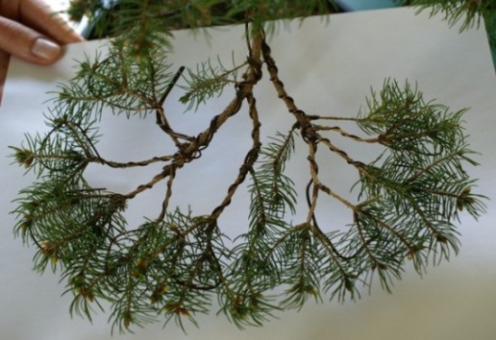 GaÂłÂąÂź gÂłĂłwna