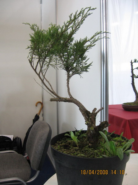 MĂłj MateriaÂł wyjÂściowy