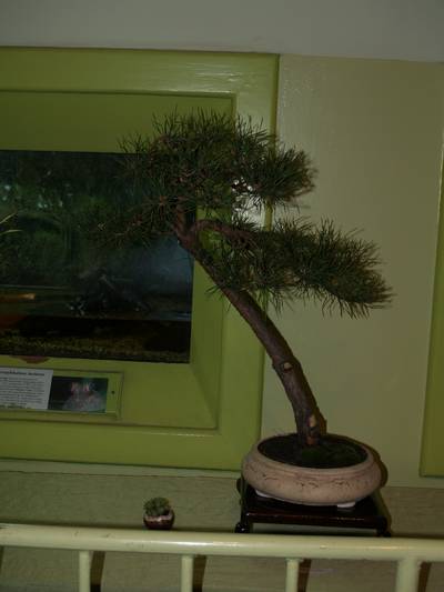 wystawa sgeb 19-20_04_08_005.jpg