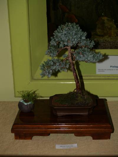 wystawa sgeb 19-20_04_08_010.jpg