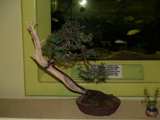 wystawa sgeb 19-20_04_08_001.jpg