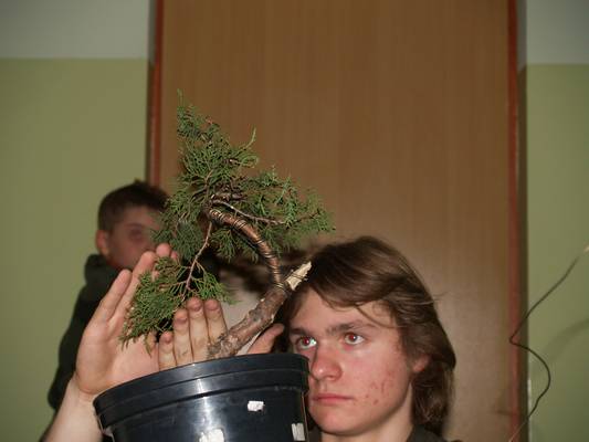 wystawa sgeb 20_04_08_004.jpg