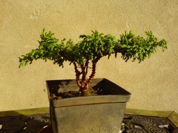 niezidentyfikowane... ;/