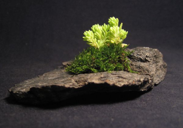 i z innej perspektywy.