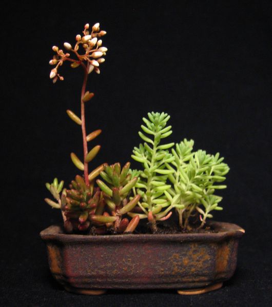 CoÂś mi w tym jednak brakuje :/