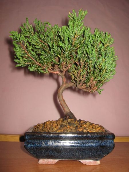 Przed formowaniem...