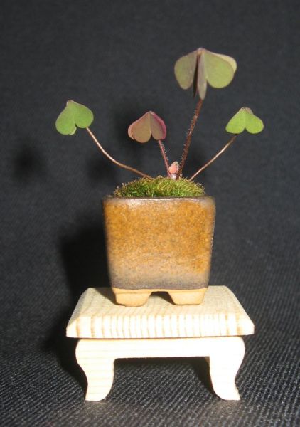 Kusa po re-make'u + stoliczek