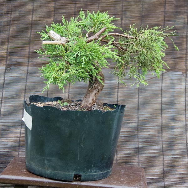 Zdjęcie z lipca 2007 roku.