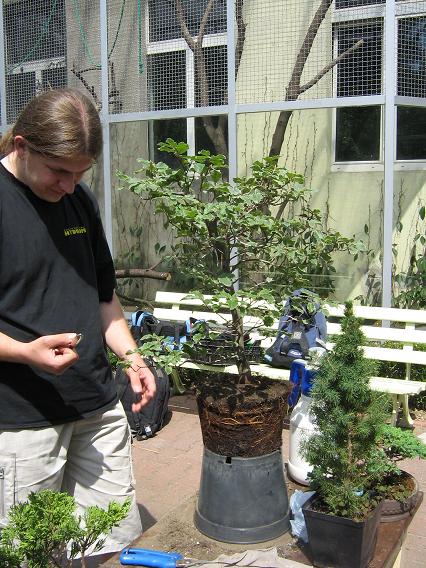 Ale po chwili zaczął działać.