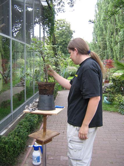 Tylko Wojtek jakoś dłuuugo dumał...