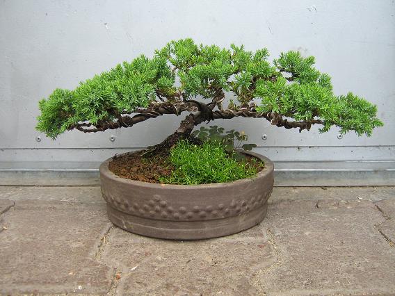 I drugi formowany kiedyś wcześniej.