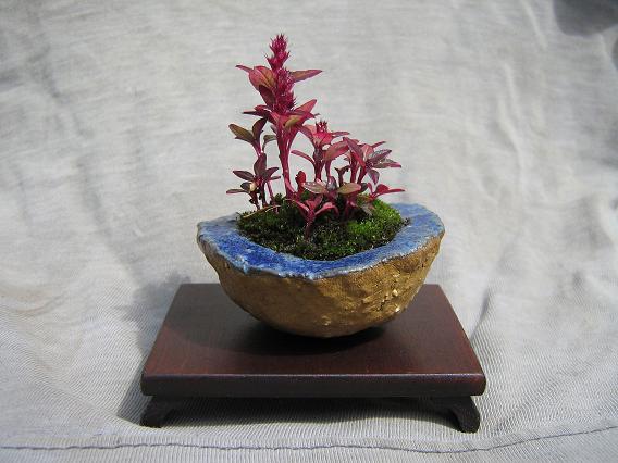 I na pożegnanie owoc współpracy z Wojtkiem :)