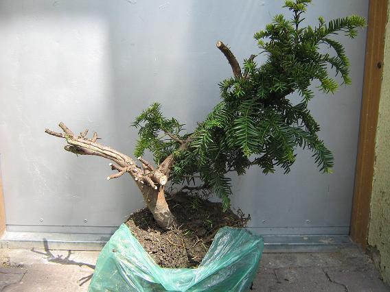 podczas formowania...