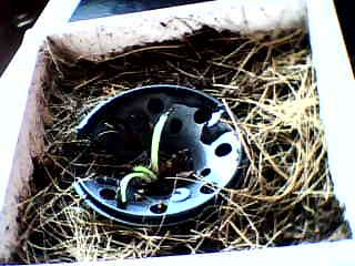 tyle mi z niej pozostalo