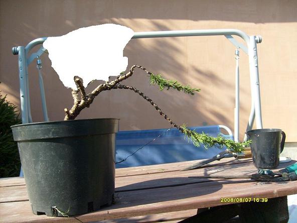 a to jeśli wszystkie inne pomysły nie wypalą