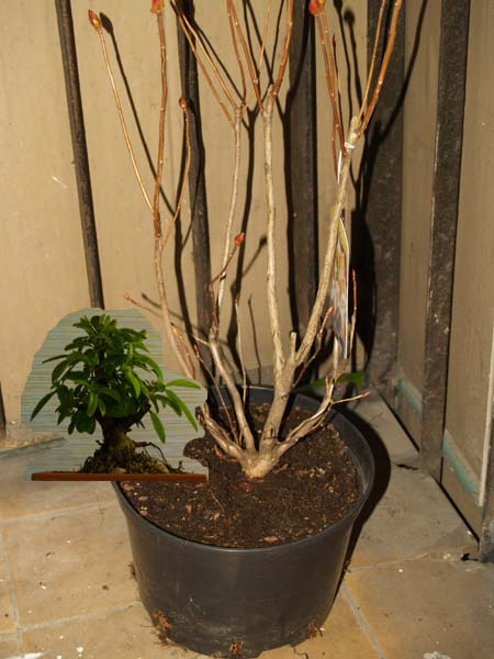 rok temu i dorzucone zdjęcie obecne dla pokazania skali