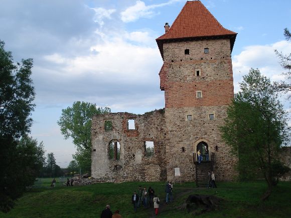 Zamek w Chudowie.