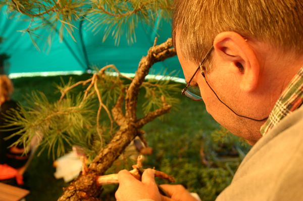 IMG_8626 [640x480].JPG