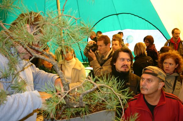 IMG_8636 [640x480].JPG