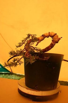 tn_IMG_9002 [640x480].JPG