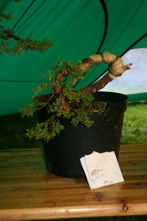 jalkaskbiskupin [800x600] [640x480].JPG