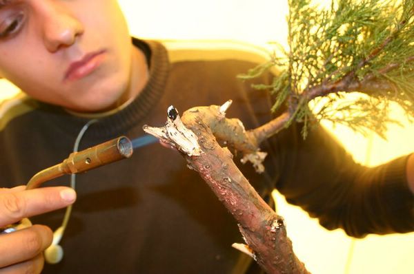 jalbiskkask [800x600] [640x480].JPG