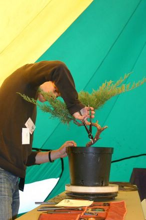 jalkaskbisk [640x480].JPG